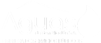 logo san nicolas